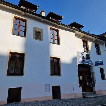 Pension U Martina Domažlice Dış mekan fotoğraf